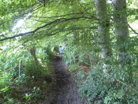 rueeggisberg-schwarzenburg-140