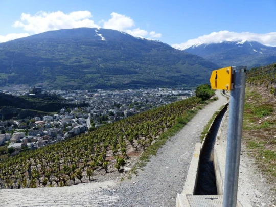 saviese-montorge-sion-108