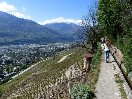 saviese-montorge-sion-113