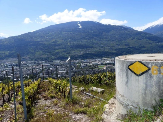 saviese-montorge-sion-118