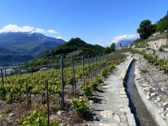 saviese-montorge-sion-121