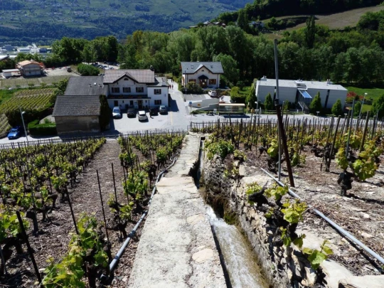 saviese-montorge-sion-124