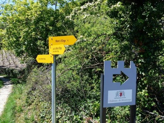 saviese-montorge-sion-145