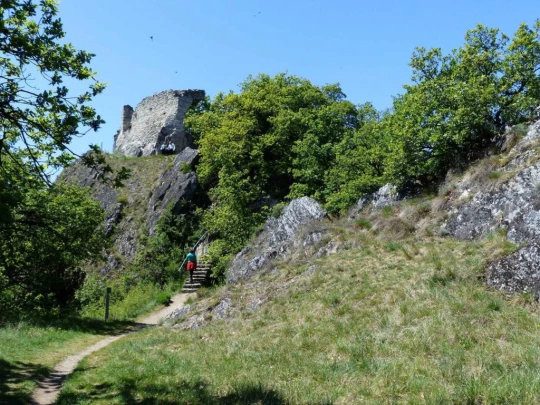 saviese-montorge-sion-150