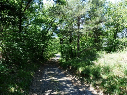 saviese-montorge-sion-185