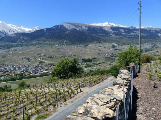 saviese-montorge-sion-188