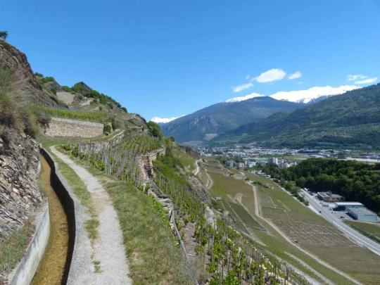 saviese-montorge-sion-190