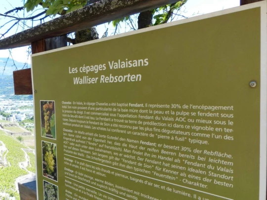 saviese-montorge-sion-195