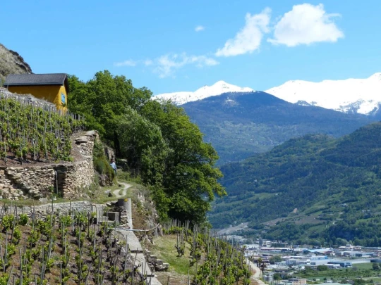 saviese-montorge-sion-197