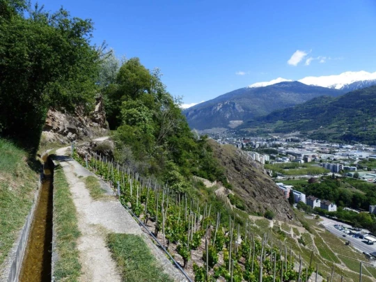 saviese-montorge-sion-204