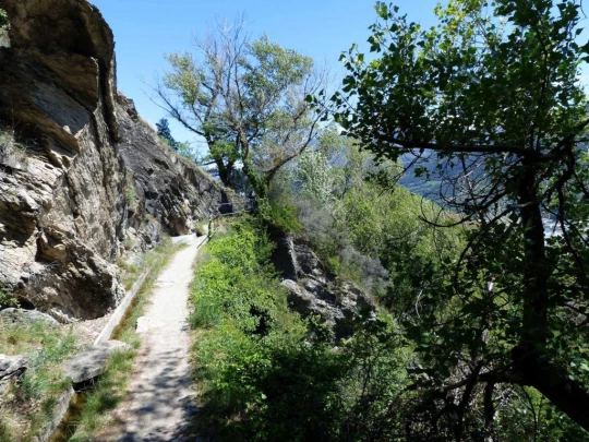 saviese-montorge-sion-208