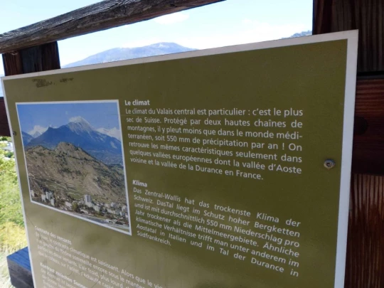 saviese-montorge-sion-218