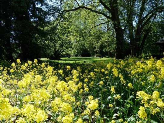 Schönenwerd Bally-Park Insel Niedergösgen Aar Schrannen Wehr Schachen Aarau