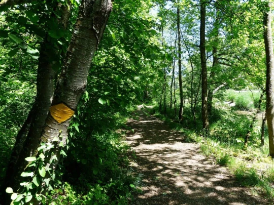 Schönenwerd Bally-Park Insel Niedergösgen Aar Schrannen Wehr Schachen Aarau