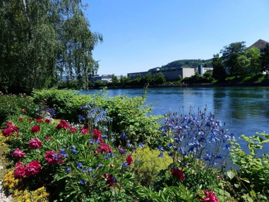 Schönenwerd Bally-Park Insel Niedergösgen Aar Schrannen Wehr Schachen Aarau