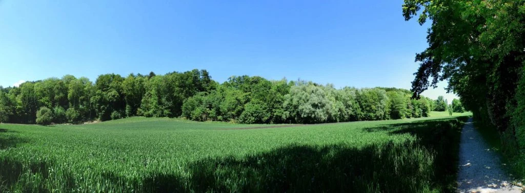 Schönenwerd Bally-Park Insel Niedergösgen Aar Schrannen Wehr Schachen Aarau