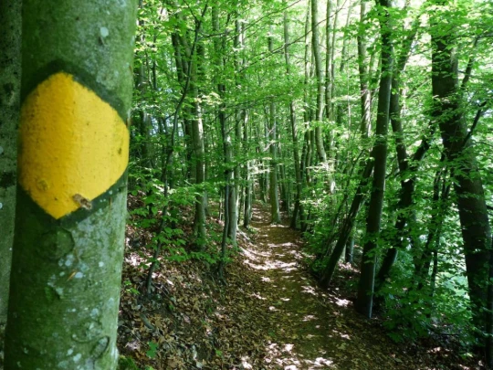 Schönenwerd Bally-Park Insel Niedergösgen Aar Schrannen Wehr Schachen Aarau