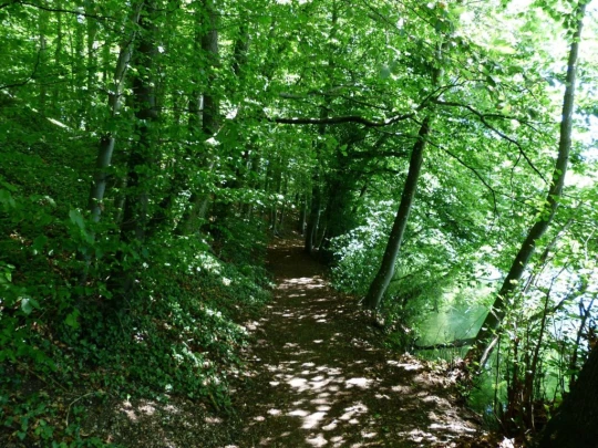 Schönenwerd Bally-Park Insel Niedergösgen Aar Schrannen Wehr Schachen Aarau
