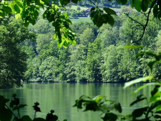 Schönenwerd Bally-Park Insel Niedergösgen Aar Schrannen Wehr Schachen Aarau