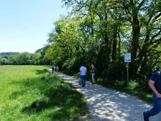 Schönenwerd Bally-Park Insel Niedergösgen Aar Schrannen Wehr Schachen Aarau