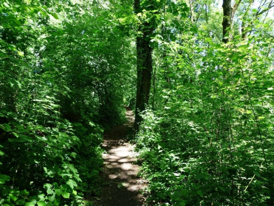 Schönenwerd Bally-Park Insel Niedergösgen Aar Schrannen Wehr Schachen Aarau