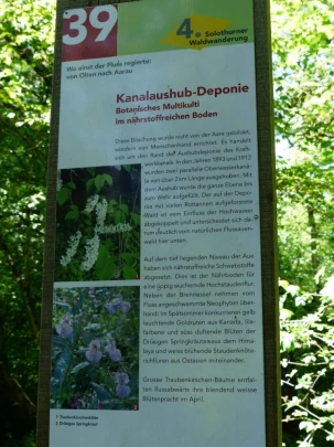 schoenenwerd-aarau-168