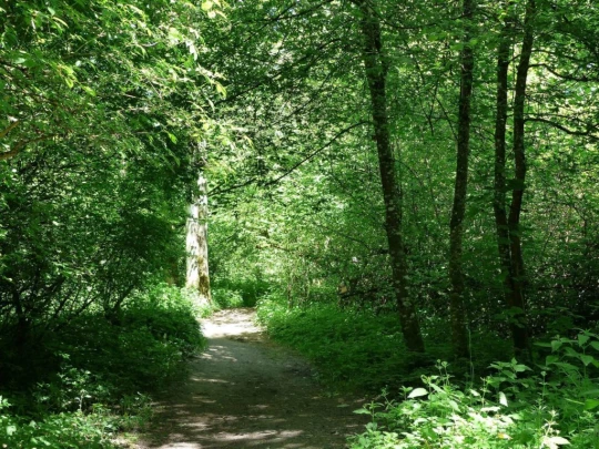 Schönenwerd Bally-Park Insel Niedergösgen Aar Schrannen Wehr Schachen Aarau
