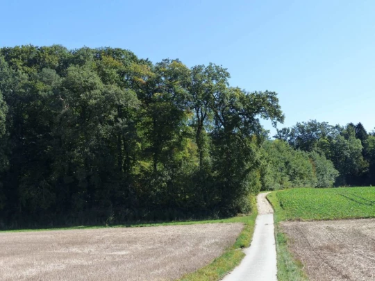 severy-vufflens-la-ville-104