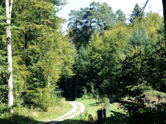 severy-vufflens-la-ville-107