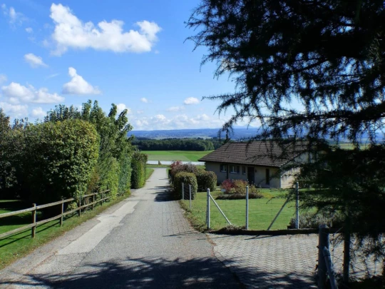 severy-vufflens-la-ville-118