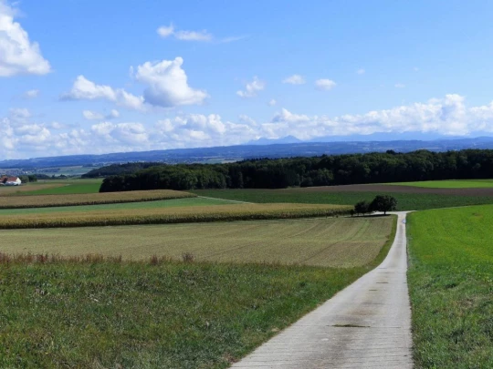 severy-vufflens-la-ville-123