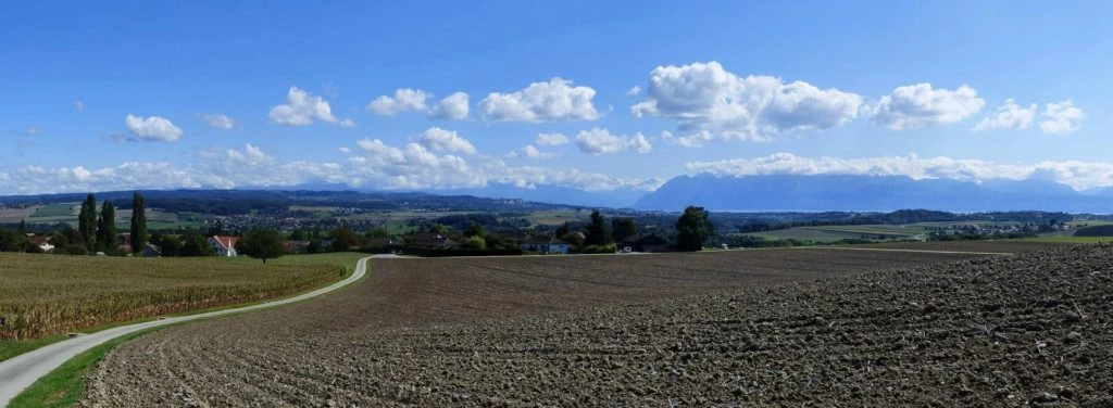 severy-vufflens-la-ville-142
