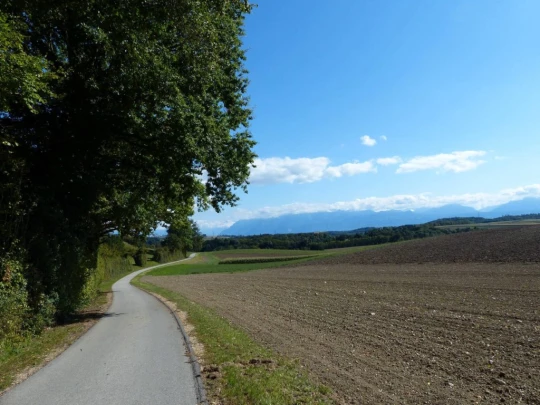 severy-vufflens-la-ville-146
