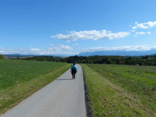 severy-vufflens-la-ville-147