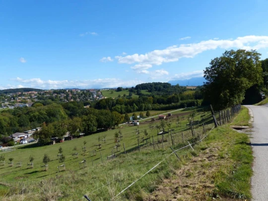 severy-vufflens-la-ville-148