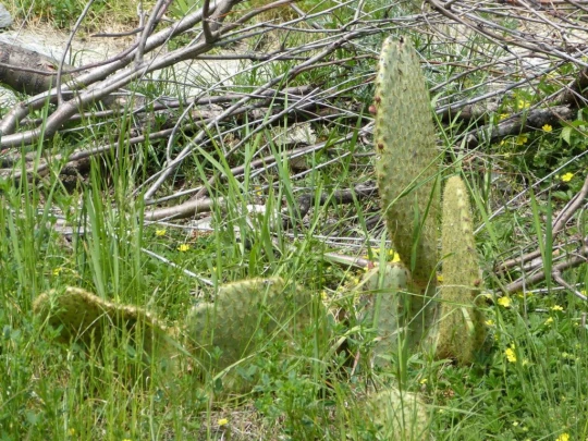 Sion Valais château de Valère château de Tourbillon chapelle de Tous-les-Saints