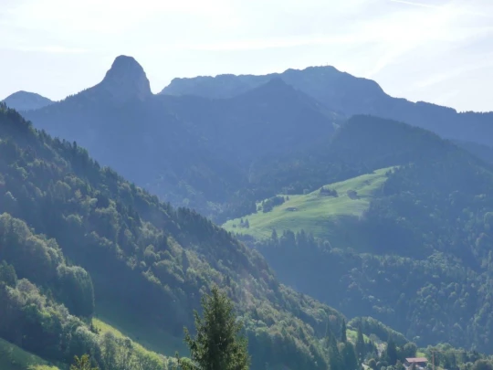 sonloup-montbrion-lally-107