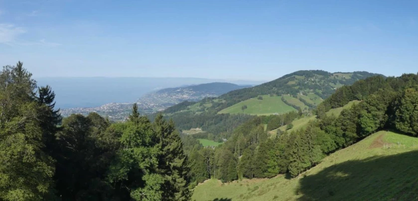 sonloup-montbrion-lally-109