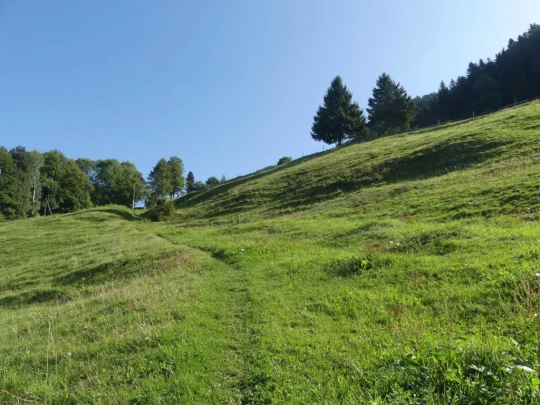 sonloup-montbrion-lally-110