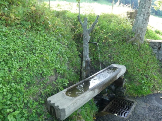 sonloup-montbrion-lally-113