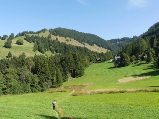 sonloup-montbrion-lally-117