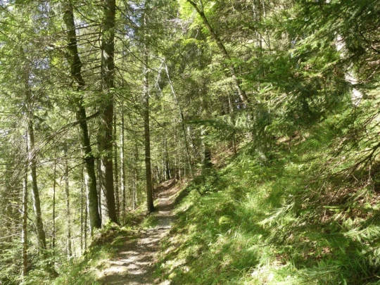 sonloup-montbrion-lally-122