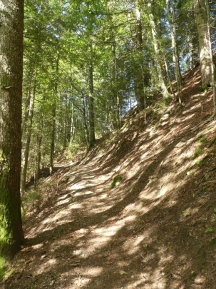 sonloup-montbrion-lally-123