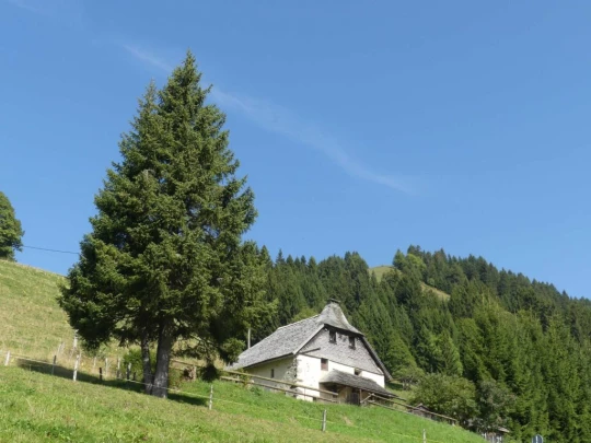 sonloup-montbrion-lally-125