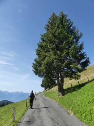 sonloup-montbrion-lally-127