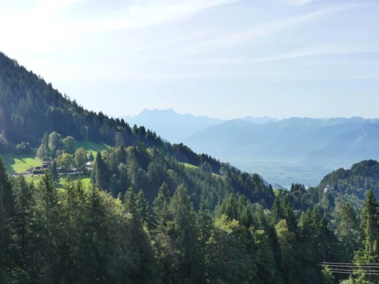 sonloup-montbrion-lally-128