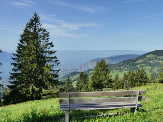 sonloup-montbrion-lally-130