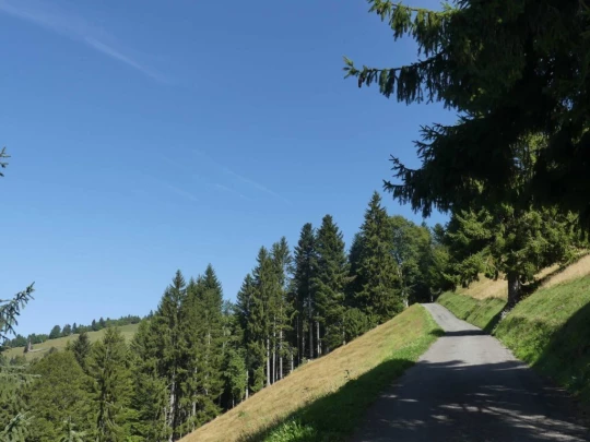 sonloup-montbrion-lally-132