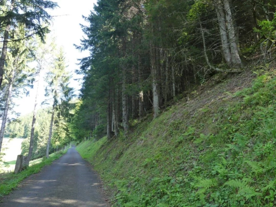 sonloup-montbrion-lally-133