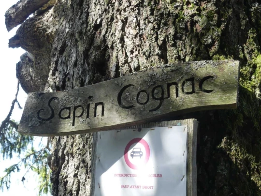 sonloup-montbrion-lally-137